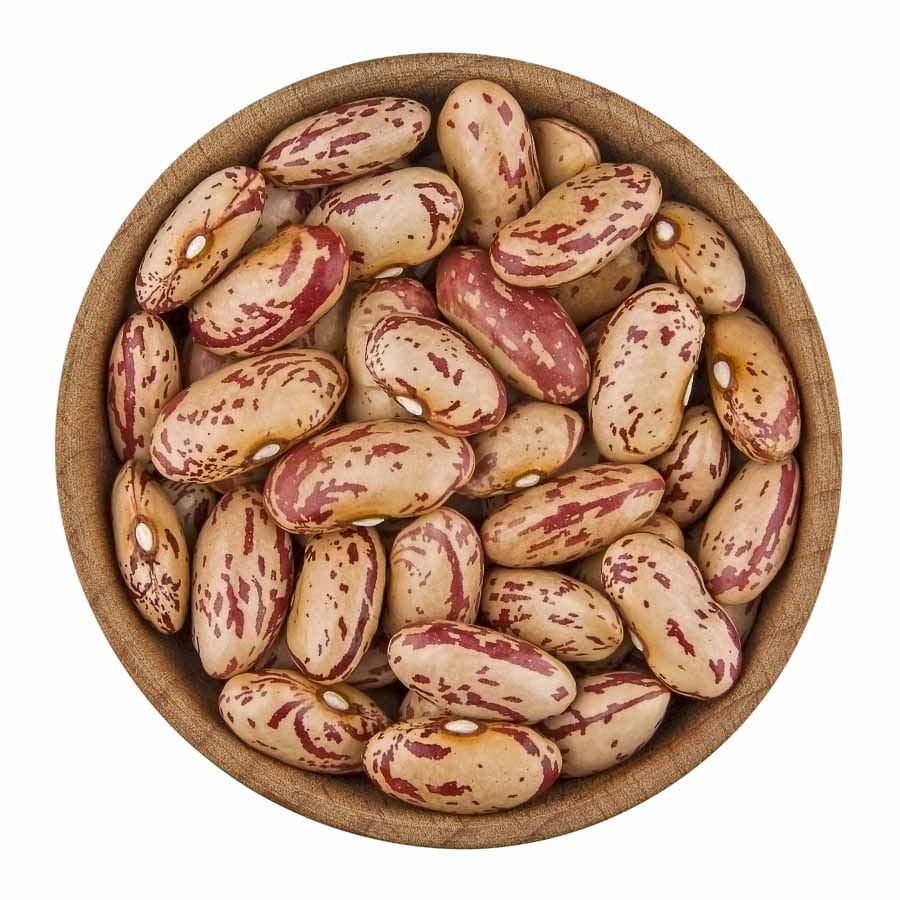A close-up photo of uncooked Chitra Rajma, cream-colored kidney beans with maroon streaks
(कच्चे चित्रा राजमा की नज़दीकी फोटो, जिन पर गहरे मैरून रंग की धारियाँ होती हैं)