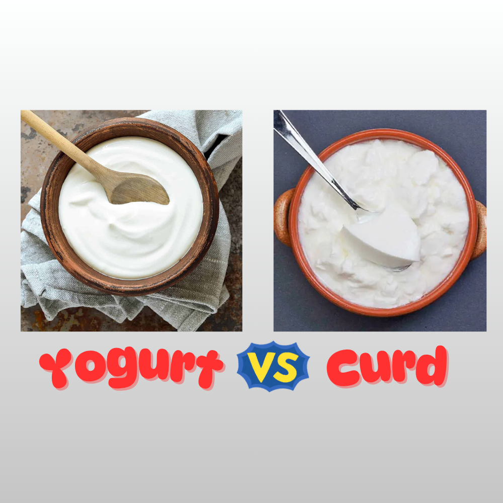 yogurt vs. dahi image