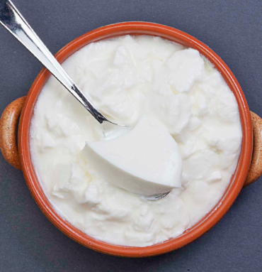 Freshly set Dahi in an earthen bowl